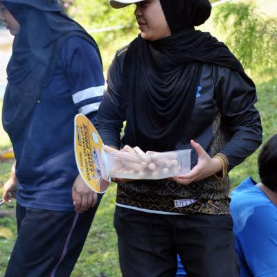 Picnic 017