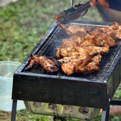 Picnic 096