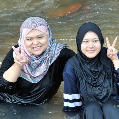 Picnic 102