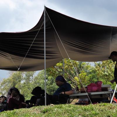 Picnic 154